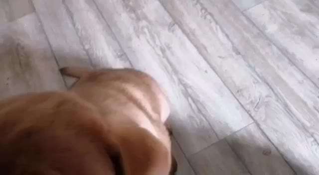 Deckentraining-Beitrag-Bild