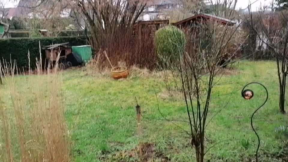 Windhunde - Treffen der besonderen Schönheiten
HERZLICH WILLKOMMEN-Beitrag-Bild