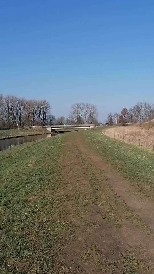 Windhunde - Treffen der besonderen Schönheiten
HERZLICH WILLKOMMEN-Beitrag-Bild