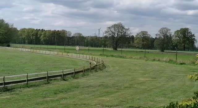 Windhunde - Treffen der besonderen Schönheiten
HERZLICH WILLKOMMEN-Beitrag-Bild