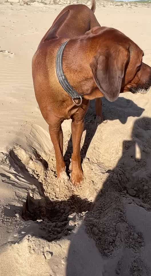 15. Video Challenge.  In SloMo die Welt erkunden!-Beitrag-Bild