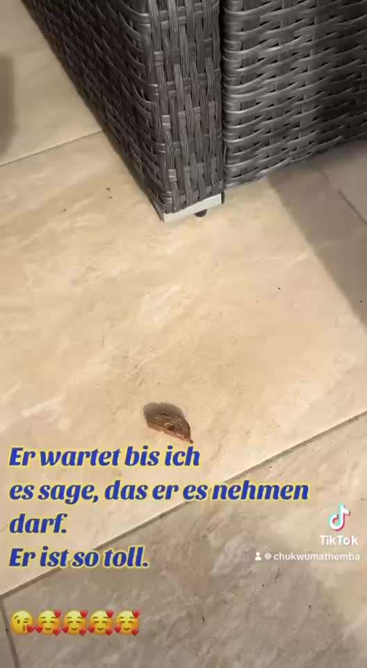 56. Impulskontrollchallenge : Ich warte auf dich !-Beitrag-Bild