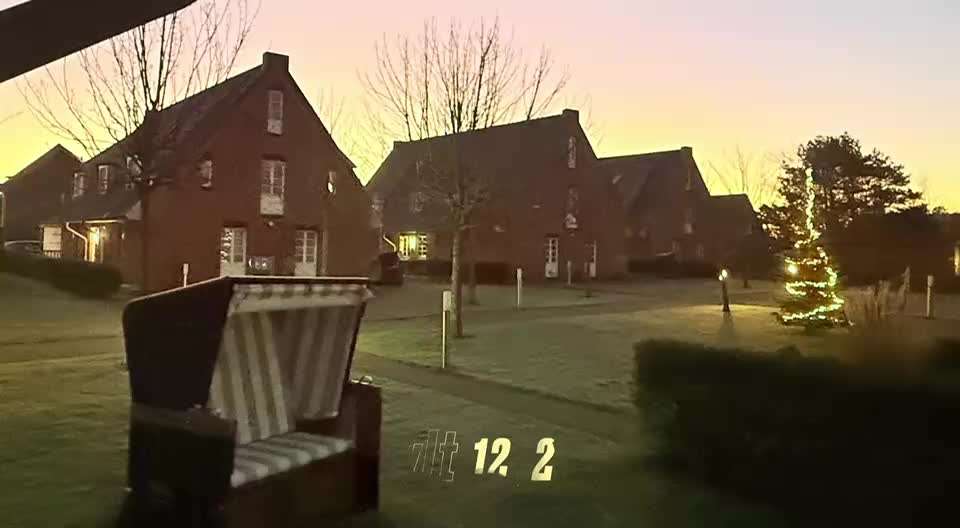 aktuelles Foto Gruppe Dackel