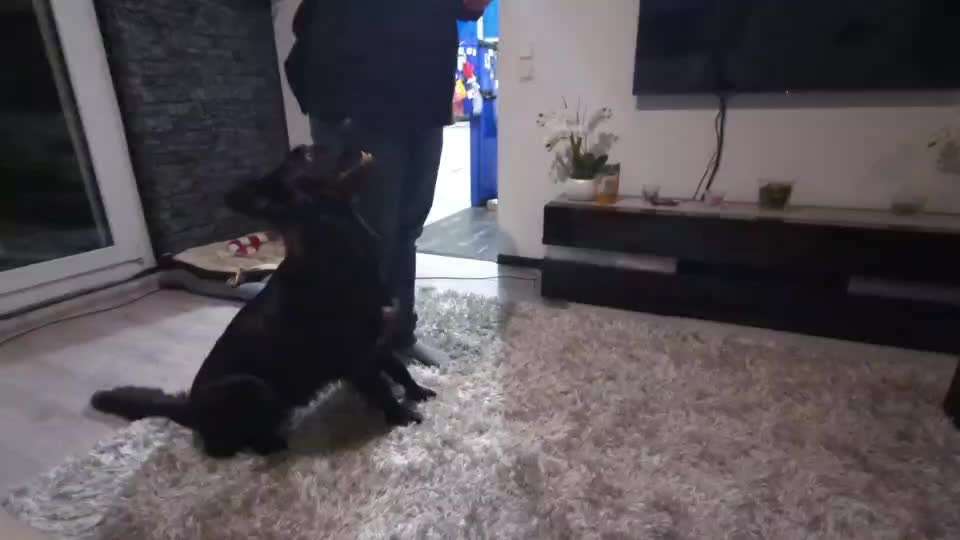 Trickchallenge - ich packe meinen 6. Koffer-Beitrag-Bild