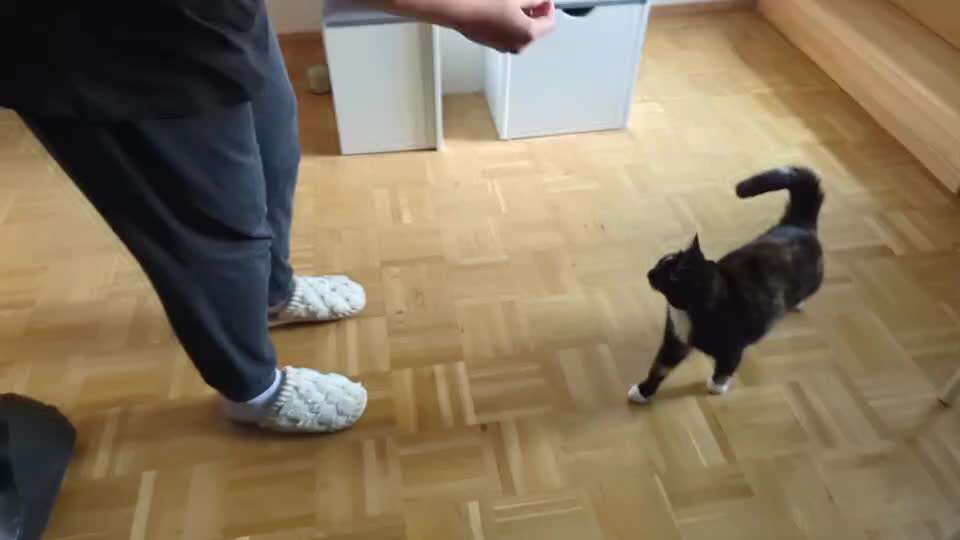 Trick Spiel - Koffer packen -der 22.-Beitrag-Bild