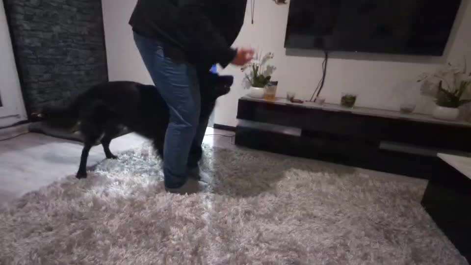 Trickchallenge - ich packe meinen 6. Koffer-Beitrag-Bild