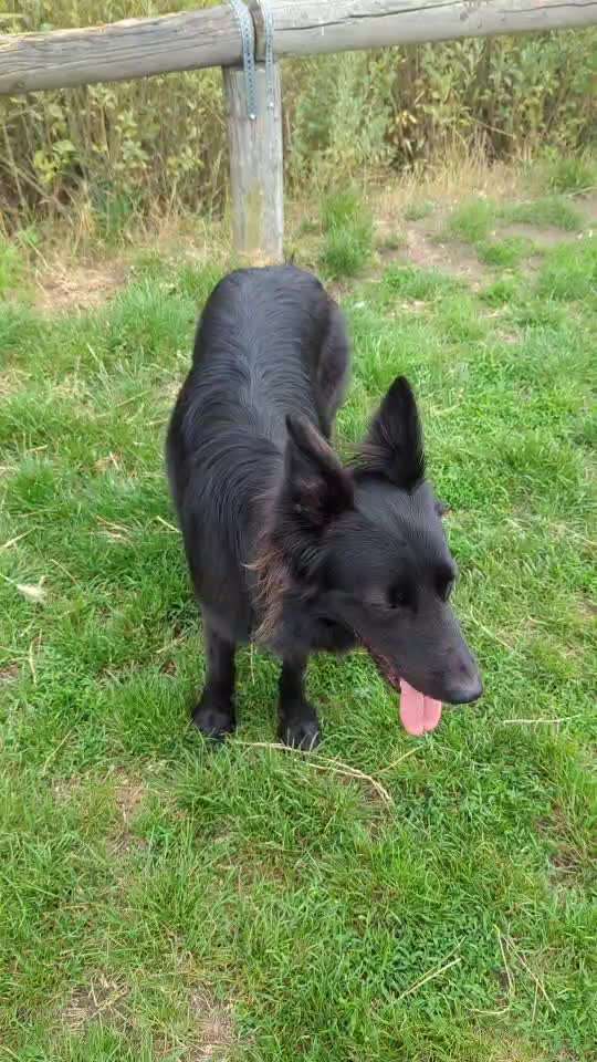 Trick Spiel - Koffer Packen - der 21.-Beitrag-Bild