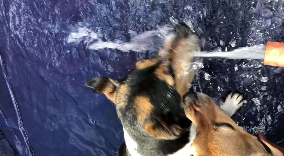 Foto Challenge - BEENDET - bitte aktuelle Challenge nutzen-Beitrag-Bild