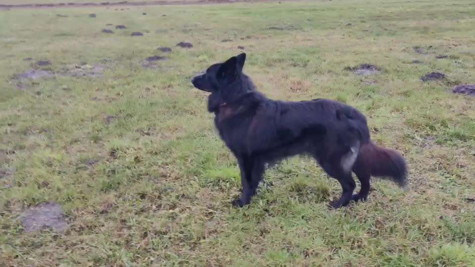 Curving-Beitrag-Bild