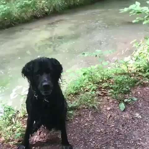 Fotochallenge No. 26                                     Wald und Wiese-Beitrag-Bild