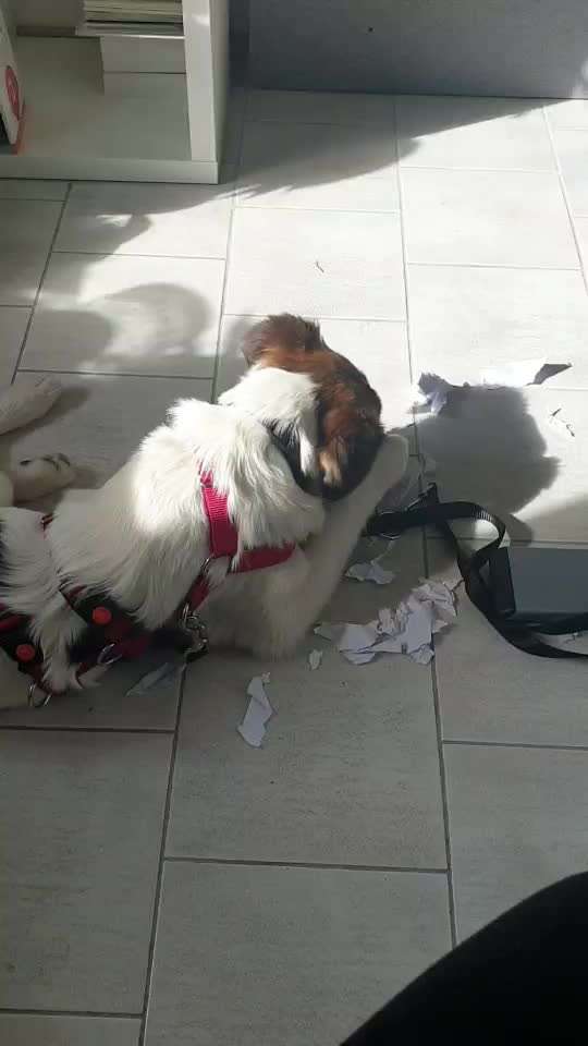 Zeigt her...-Beitrag-Bild