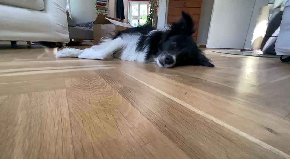 Klassische Tricks-Beitrag-Bild