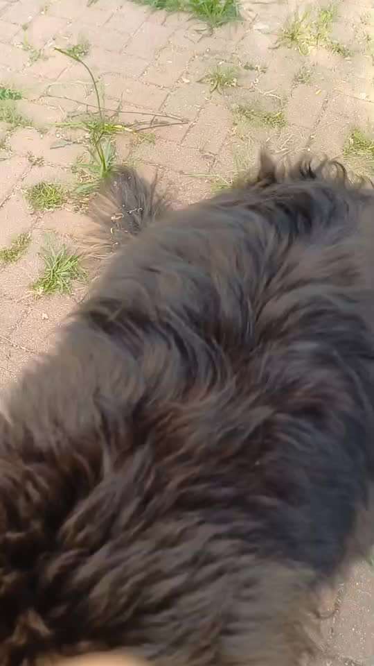 46. Video Challenge - Trainingserfolg-Beitrag-Bild