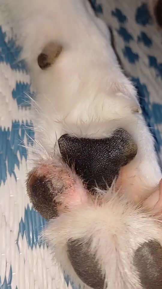 Tipps nach Allegietest-Beitrag-Bild