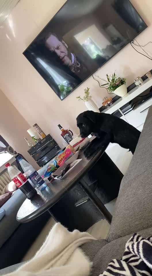 Hier ist der Spaßthread. Zum Schmunzeln und Kaputtlachen-Beitrag-Bild