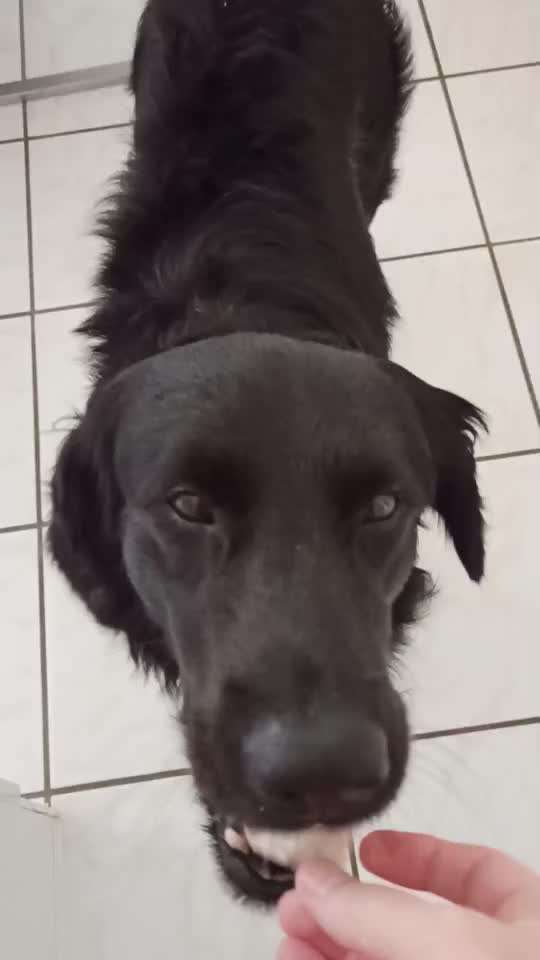 Video Challenge Nr. 4 - Lecker, Lecker-Beitrag-Bild