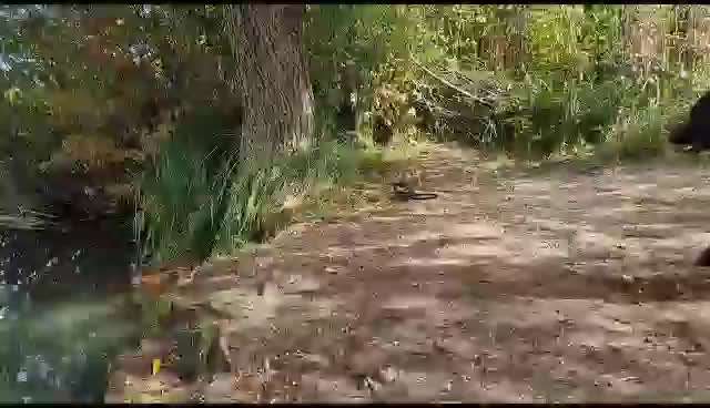 50. Video Challenge - Wasserscheu oder nicht-Beitrag-Bild