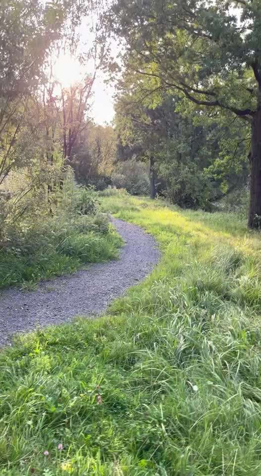 50. Video Challenge - Wasserscheu oder nicht-Beitrag-Bild