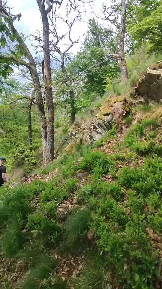 aktuelles Foto Gruppe Wandern und Outdoor