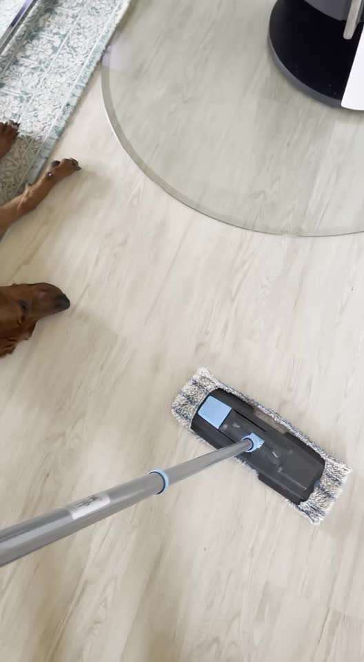 Rhodesian Ridgeback-Beitrag-Bild