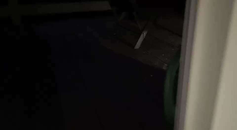 Rhodesian Ridgeback-Beitrag-Bild