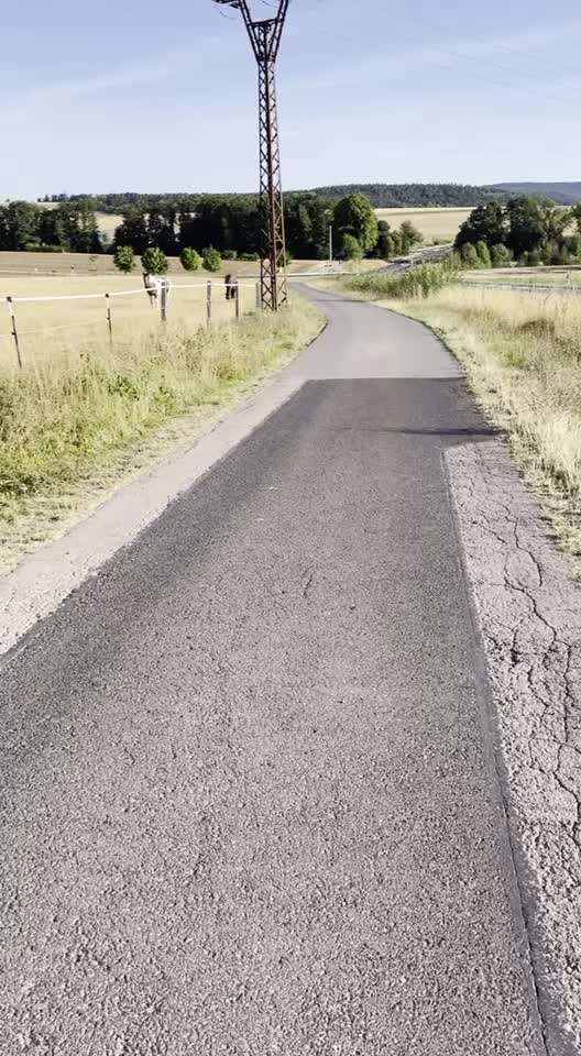 Rhodesian Ridgeback-Beitrag-Bild