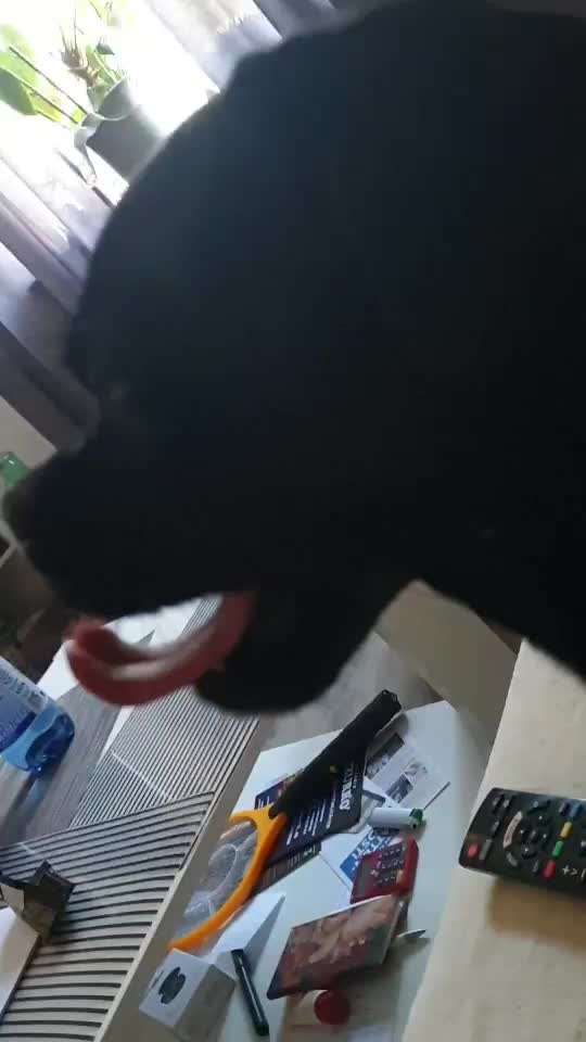 Was hat euch heute genervt?-Beitrag-Bild