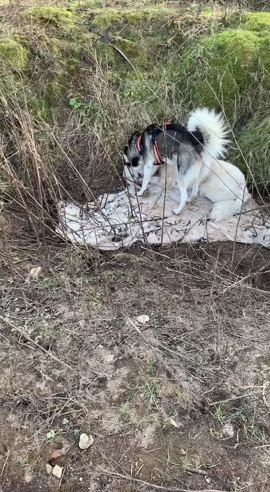 Der erste Schnee, zeigt uns eure tollen Schneemomente-Beitrag-Bild