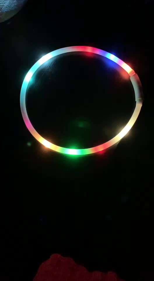 Samojede-Beitrag-Bild