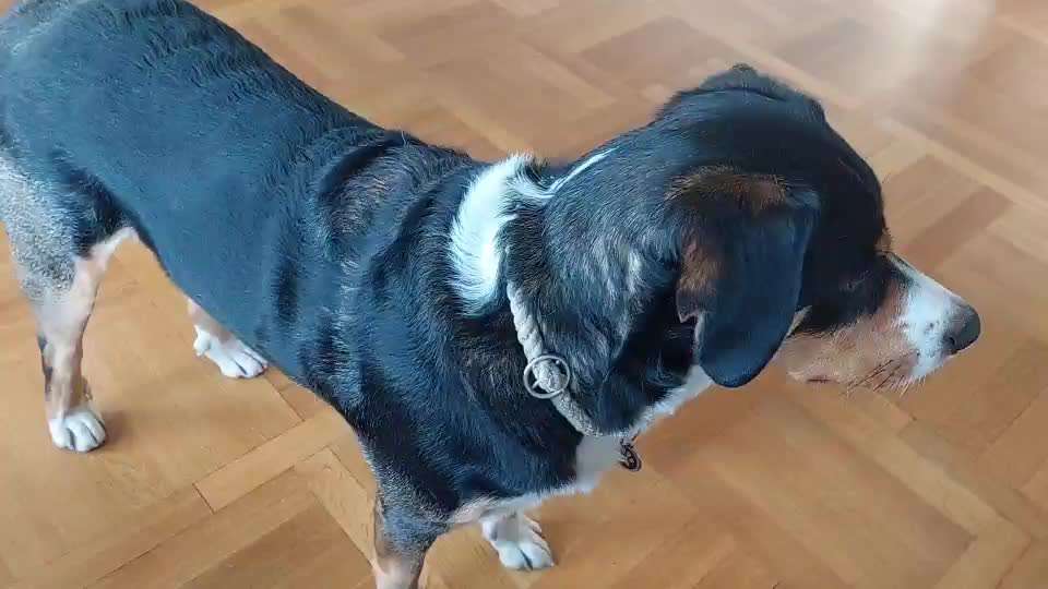 𝕋ℝ𝕀ℂ𝕂 ℂℍ𝔸𝕃𝕃𝔼ℕ𝔾𝔼 ℕℝ. 𝟙-Beitrag-Bild