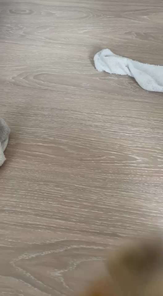 Hund humpelt nach aufstehen-Beitrag-Bild