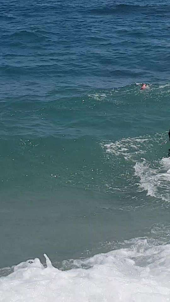 Urlaub mit Hund - Hat jemand Empfehlungen?-Beitrag-Bild