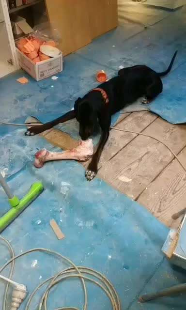 Angst vor Geräuschen Kurs Tipp-Beitrag-Bild