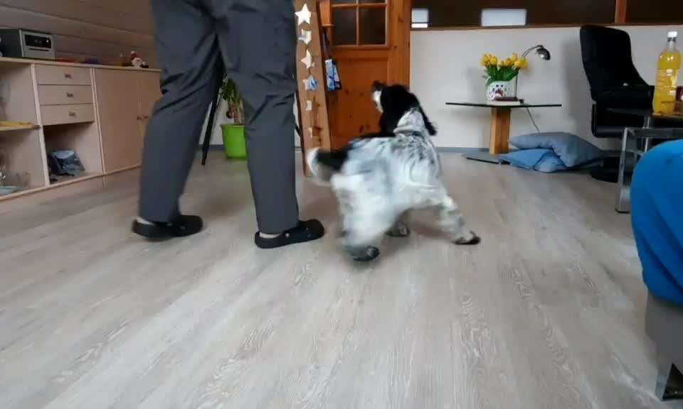 Koffer Packen: Spezial Weihnachtsedition-Beitrag-Bild