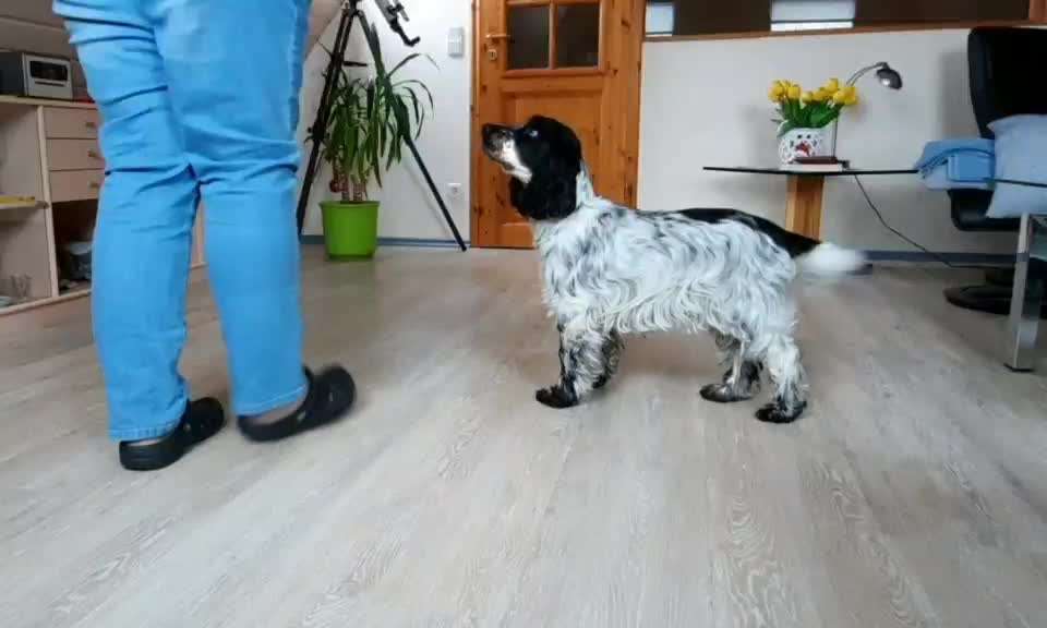 Koffer Packen: Spezial Weihnachtsedition-Beitrag-Bild