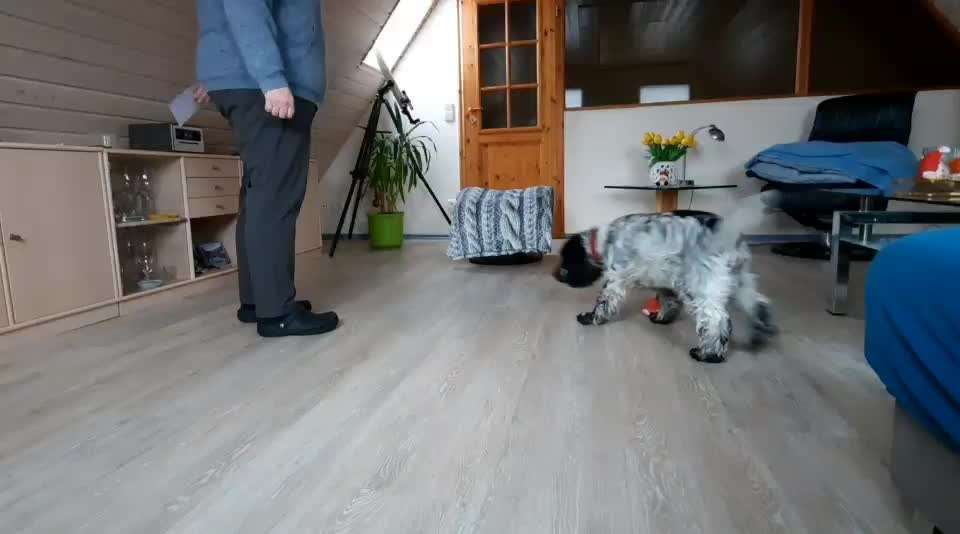 Koffer Packen: Spezial Weihnachtsedition-Beitrag-Bild