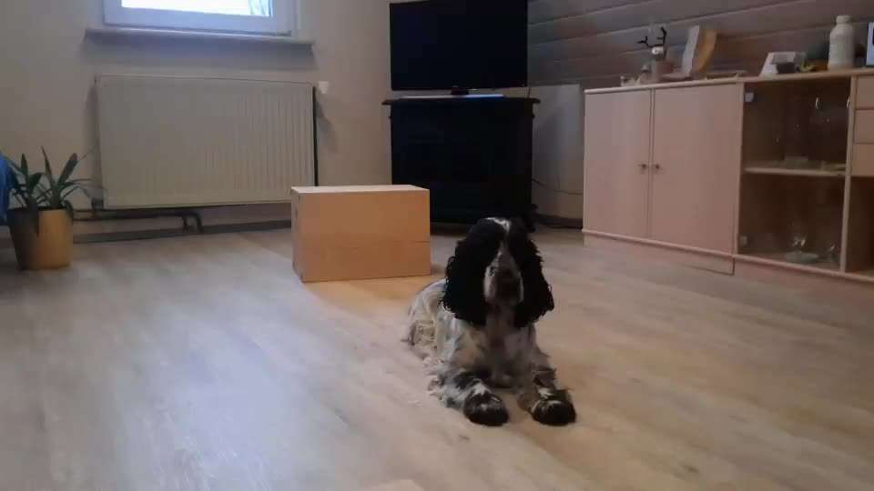 Koffer Packen: Spezial Weihnachtsedition-Beitrag-Bild