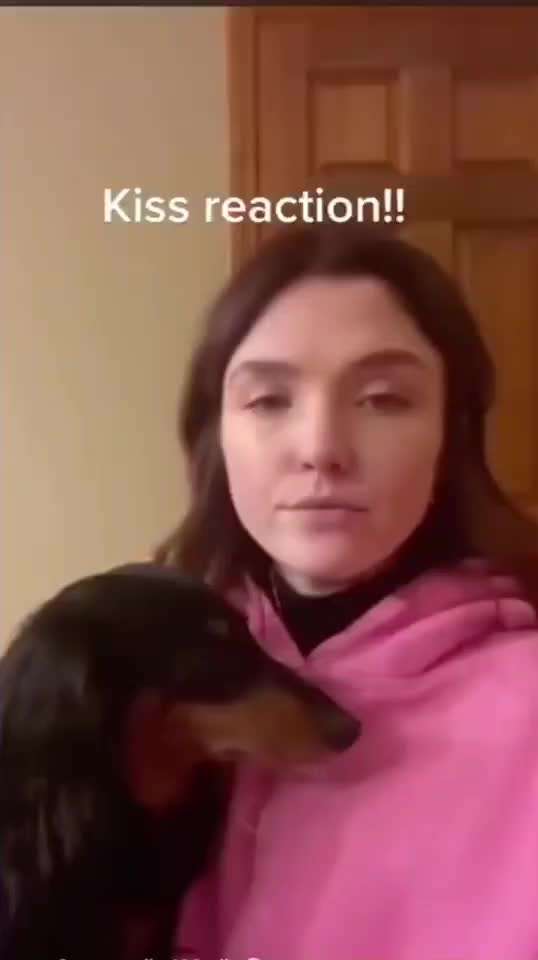 Hunde Memes-Beitrag-Bild