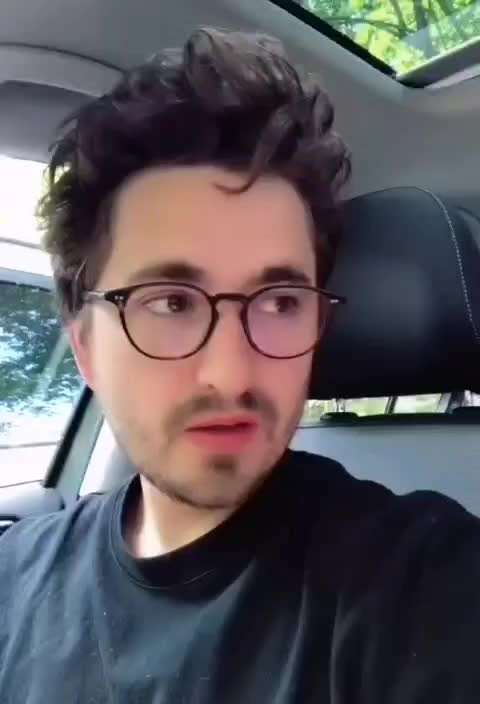 Hunde Memes-Beitrag-Bild