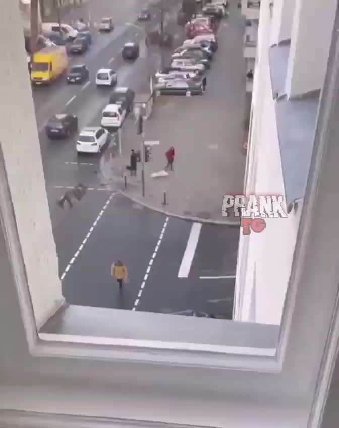 Hunde Memes-Beitrag-Bild