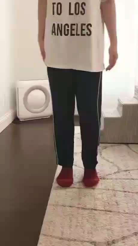 Hunde Memes-Beitrag-Bild