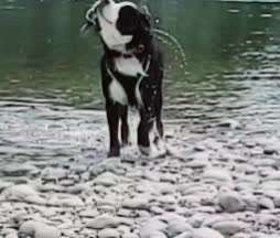 50. Video Challenge - Wasserscheu oder nicht-Beitrag-Bild