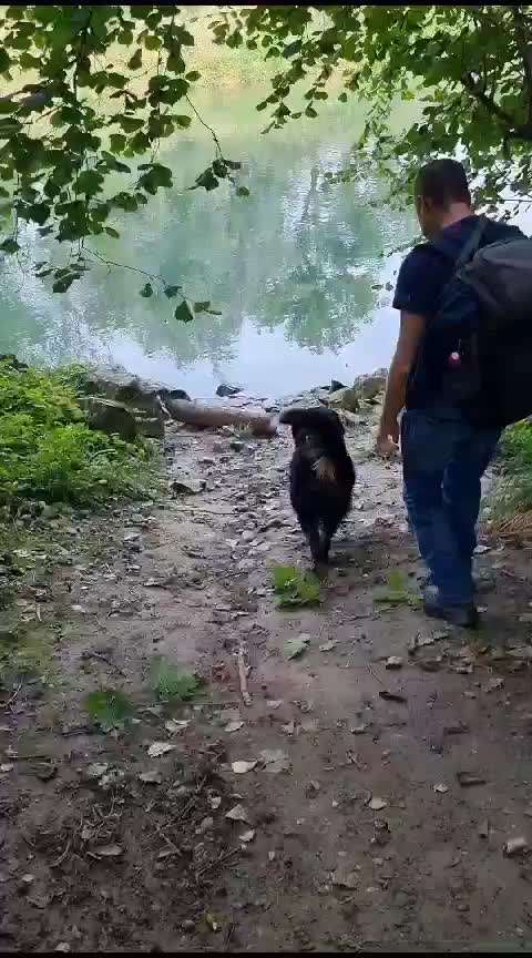 50. Video Challenge - Wasserscheu oder nicht-Beitrag-Bild