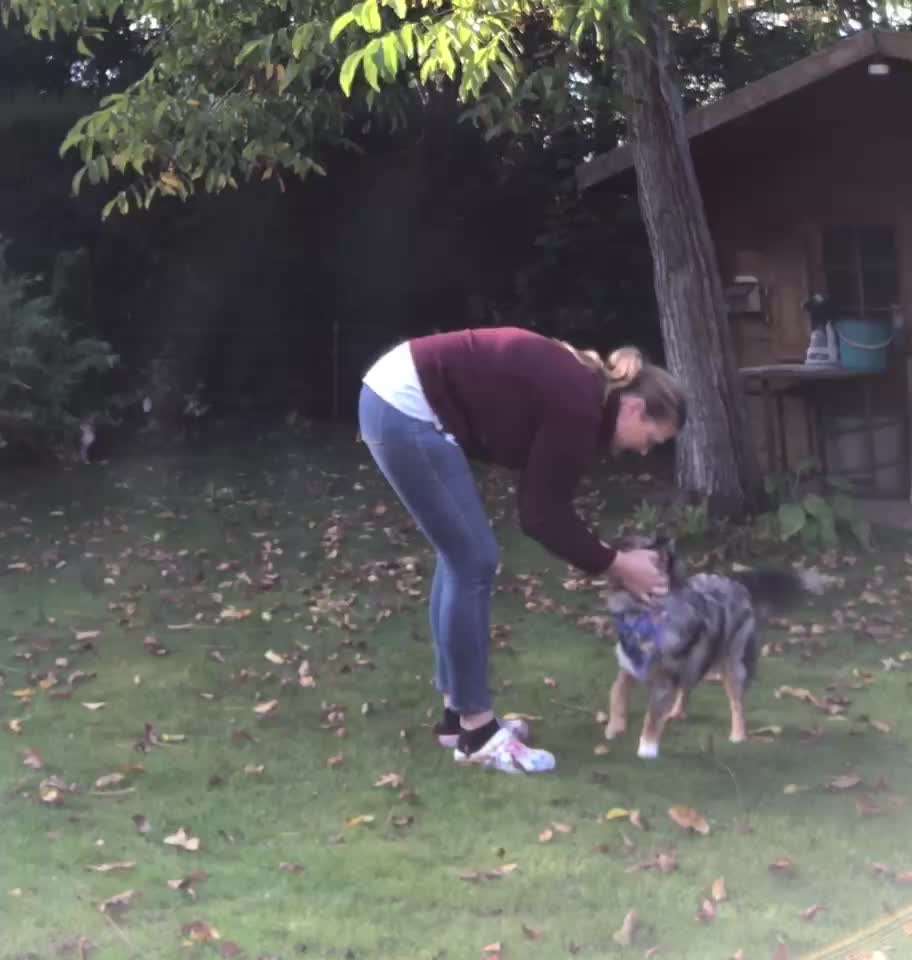 Trick Callenge Nr. 17-Beitrag-Bild