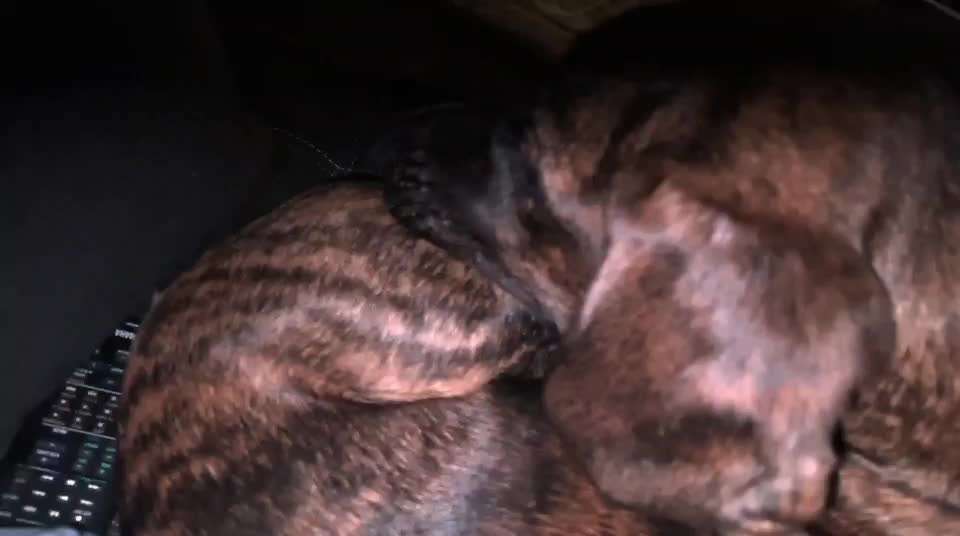 Seltsames Verhalten-Beitrag-Bild