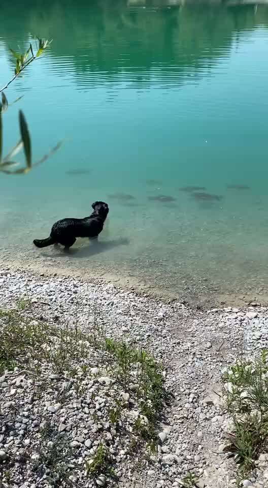 Sonnenstich-Beitrag-Bild