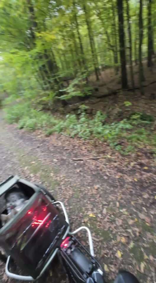 Mit Fahrradanhänger unterwegs?-Beitrag-Bild