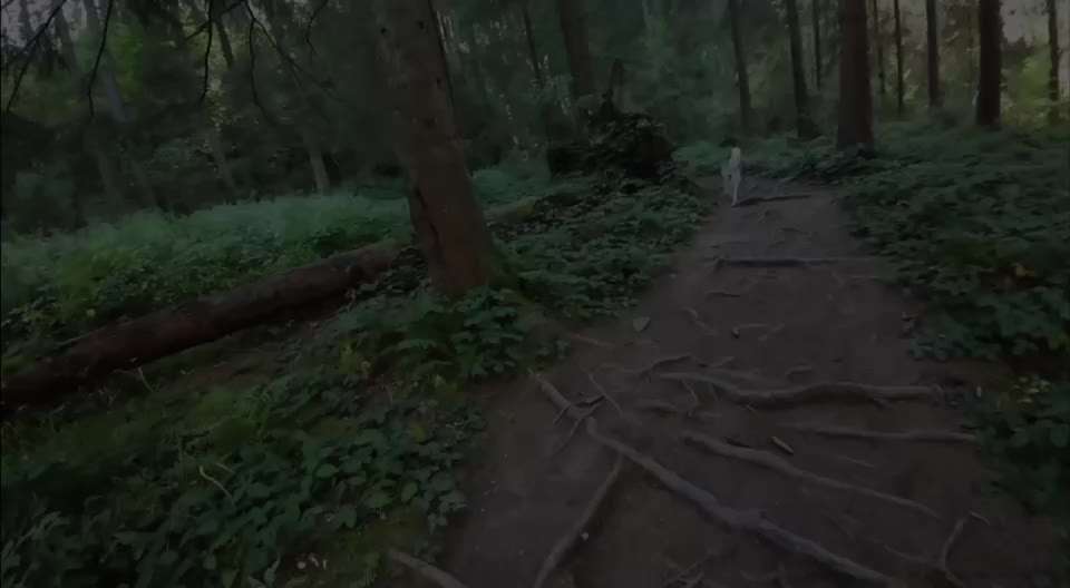 Nordische Hunde - Rückruf-Beitrag-Bild