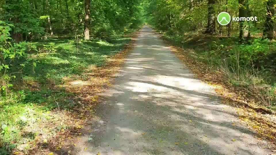 Wander - Gassiroute aufzeichnen (tracken)-Beitrag-Bild