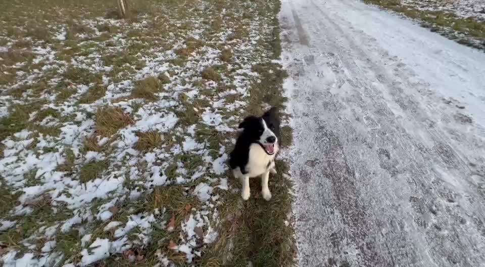 82. Trickspiel : Bleib!-Beitrag-Bild